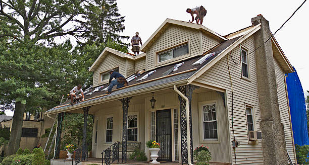 Best Gutter Installation and Roofing  in Alum Creek, WV