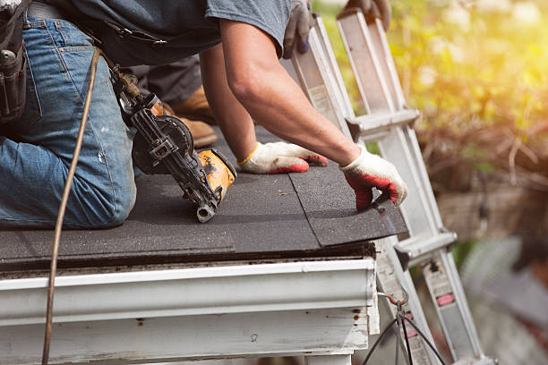 Best Roof Leak Repair  in Alum Creek, WV