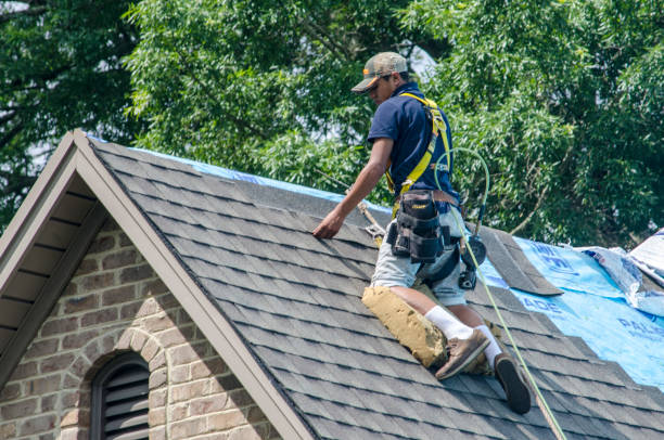 Best Metal Roofing Contractor  in Alum Creek, WV